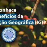Explorando os Benefícios da Indicação Geográfica