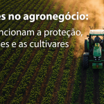 Patentes no agronegócio: como funcionam a proteção, os royalties e as cultivares