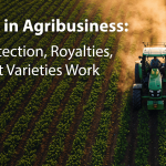 Patents in Agribusiness: How Protection, Royalties, and Plant Varieties Work